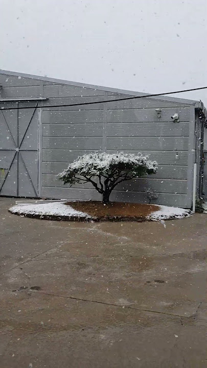 #หิมะแรกของปีฤดูหนาวเริ่มมาอีกแล้ว#