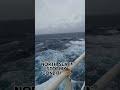 killer North sea
