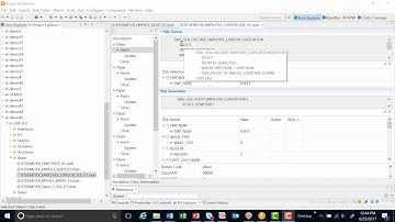 Automatically Generate DB2 SQL Stubs | Topaz for Total Test