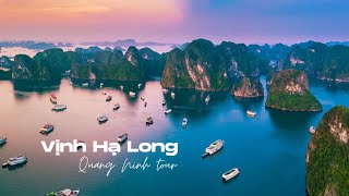 Discover Ha Long Bay: Vietnam’s Timeless Wonder | Curated Travel with Abite.asia