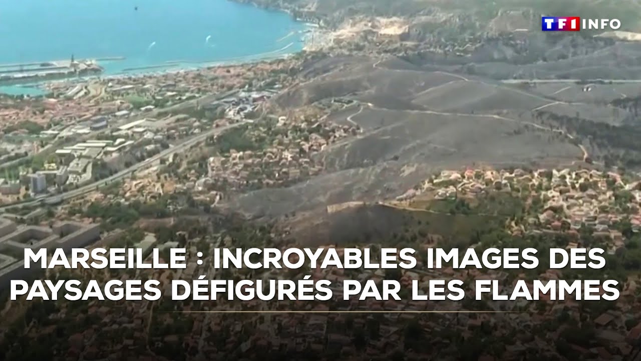 Marseille : incroyables images des paysages défigurés par les flammes｜TF1 INFO