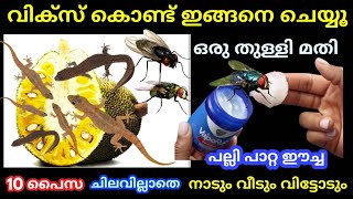 വിക്സ് കൊണ്ട് ഇങ്ങനെ ചെയ്യൂ ഒരു തുള്ളി മതി പല്ലി പാറ്റ ഈച്ച നാടും വീടും വിട്ടോടും 10 പൈസ ചിലവില്ലാതെ