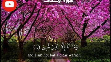 سورة الأحقاف page 503 {القارئ اسلام صبحي}