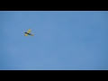 Pacific Ace Jr at Wawayanda