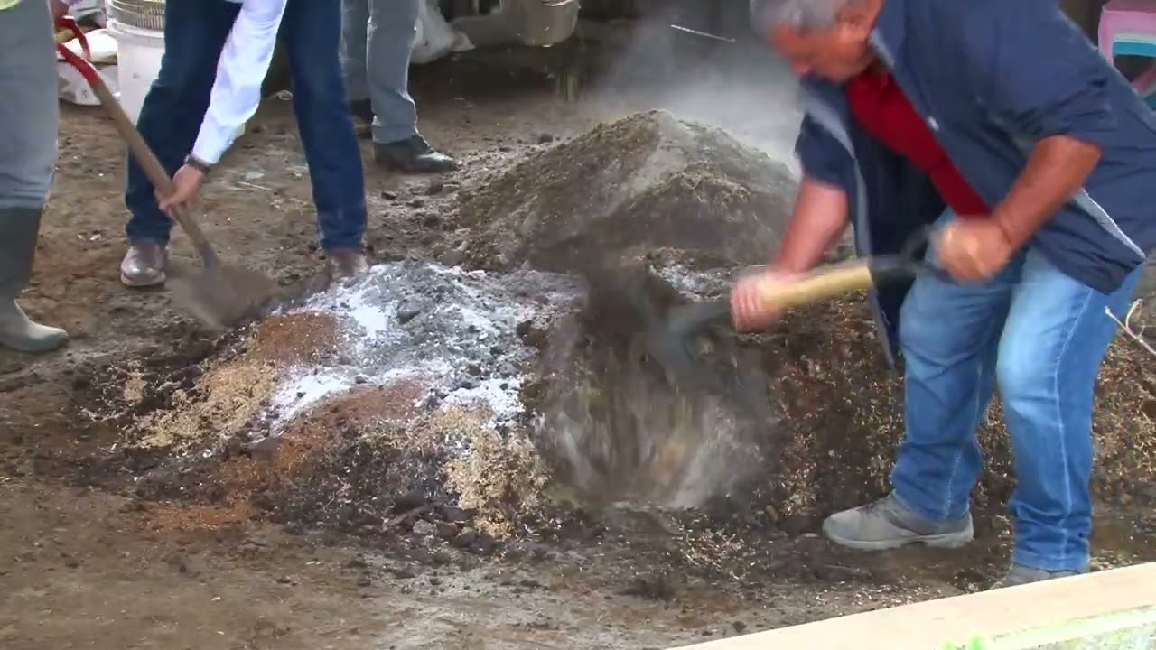 Serie 2  Bokashi Mineralizado