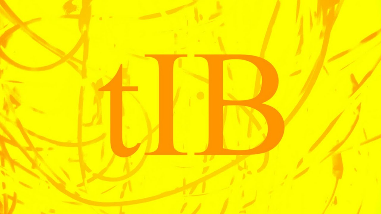 tIB - Modular Meets The Elektrons 2015 Performance