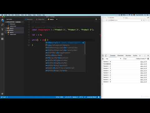 03 32  While   Do While Loops