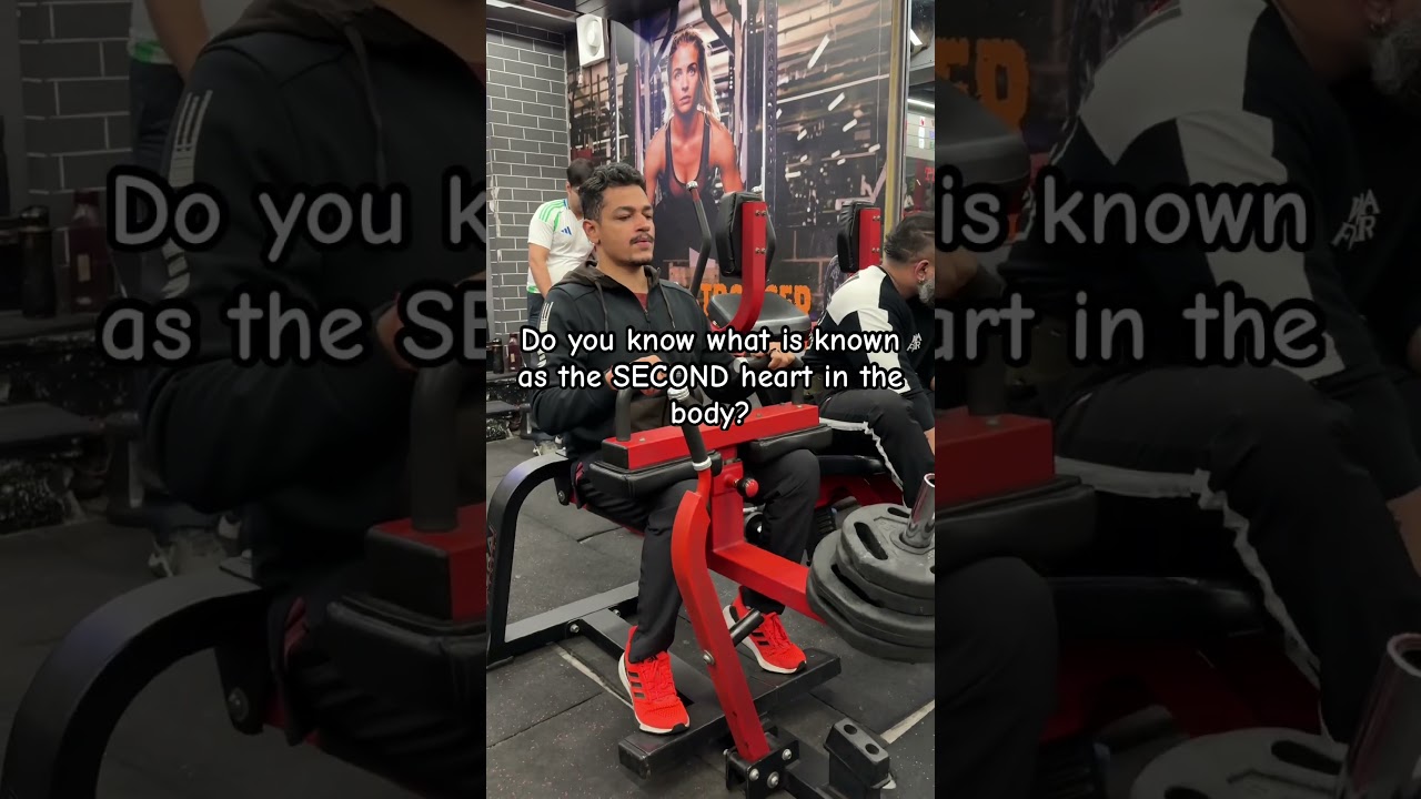«Второе сердце» в вашем теле, о котором никто не говорит.