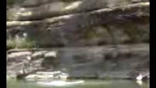 Famous Lake Cumberland Cliff Dive Net Worth