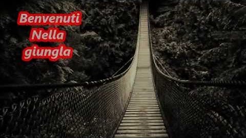 Big Tale - Benvenuti Nella Giungla