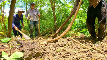 Tuy tìm Con Rắn độc để lại ổ trứng | ngàn cá gò công #71