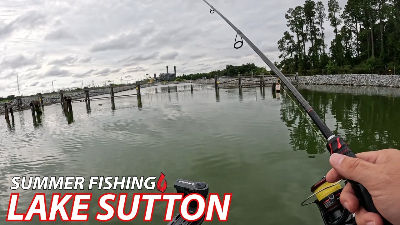 Summer Bass Fishing – Lake Sutton 2026