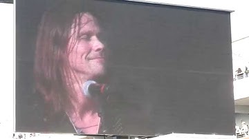 Rock am Ring 2014 - Alter Bridge