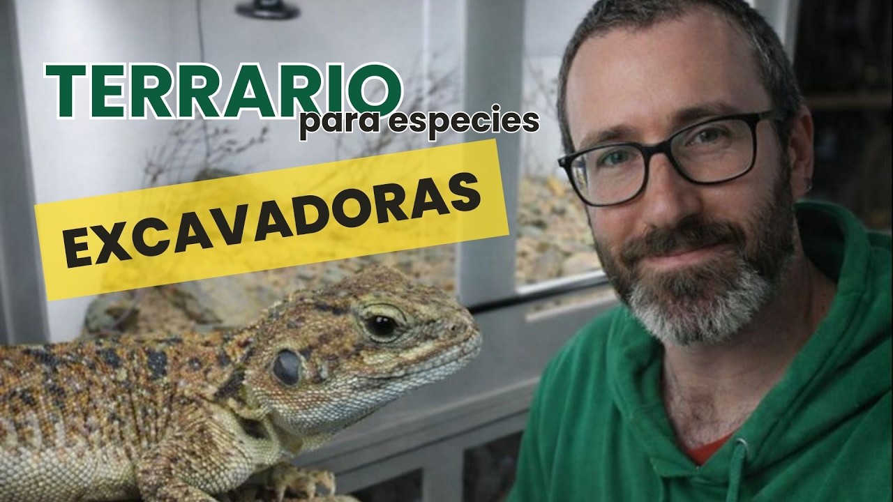 👉 Cómo diseñar un TERRARIO para especies EXCAVADORAS | Xenagama taylori | KANAKY VLOG #193