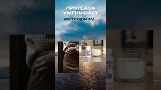 протеаза уменьшает метеоризм. Бесплатный тест(тг) @nf007bot