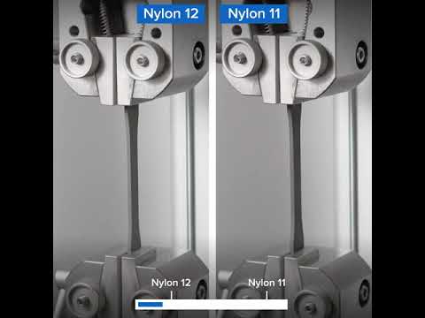 Nylon 11 or Nylon 12?