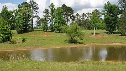 3.33Acre Trick Run and Champions