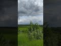 Не летів би але мушу Не летів би але мушу