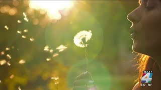 Grab the tissues, allergy season is in full swing. Here’s what you can do to make it less miserable