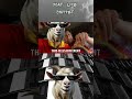 GOAT - Life shorts #goat #goatuniverse #cryptocommunity #memecoin #neversell #bitcoin