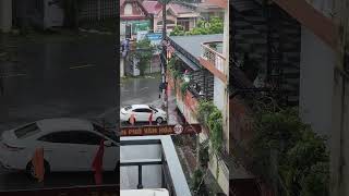 Bão YAGI Hải Phòng 2024 p3