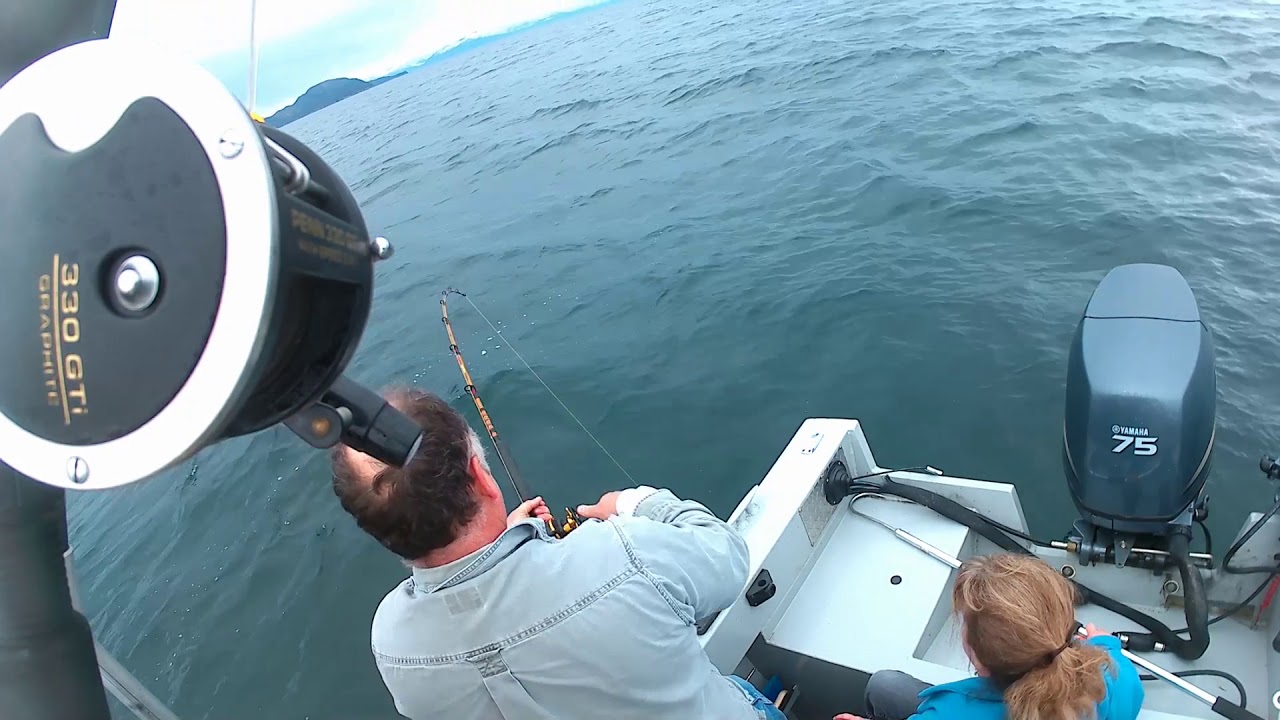 Halibut 109 pounds Whittier Alaska YouTube