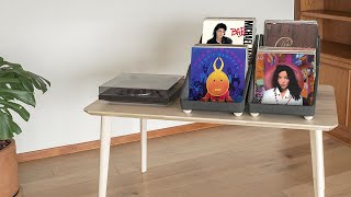 RECORD ROOTS: Vinyl Record Tabletop Storage System