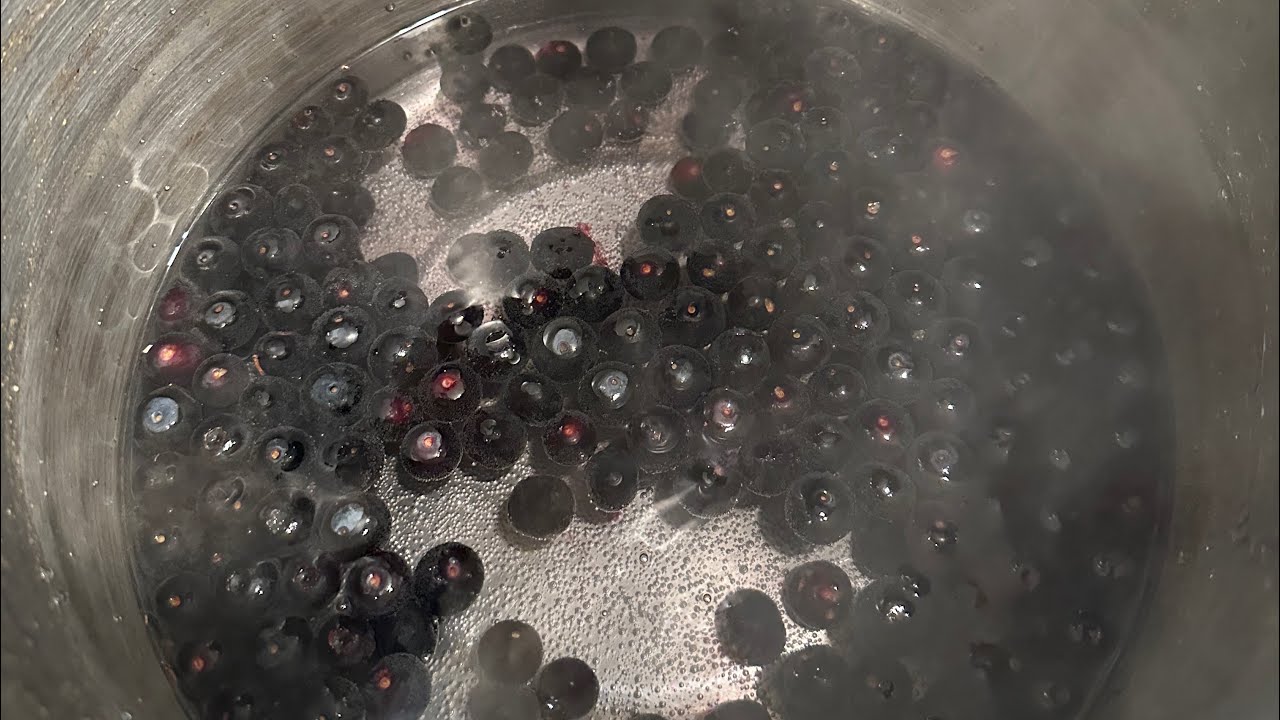 BLUEBERRY DYED PAPER REVEAL 🙌