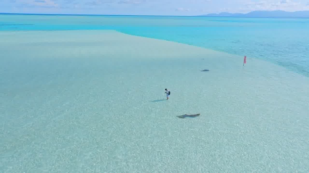 Pristine Balabac, Philippines Sandbar - Majestic Balabac drone footage 4K