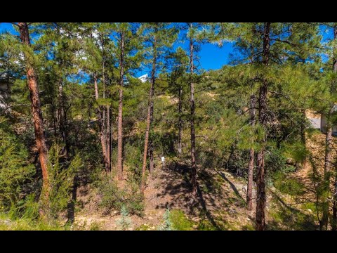 1458 Valley View Road E, Prescott, AZ home video tour
