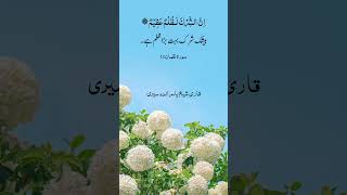 Surah Luqman Ayat 13  Yasir Bin Rashid Addosarisurahluqman quranrecitation holyquranforall