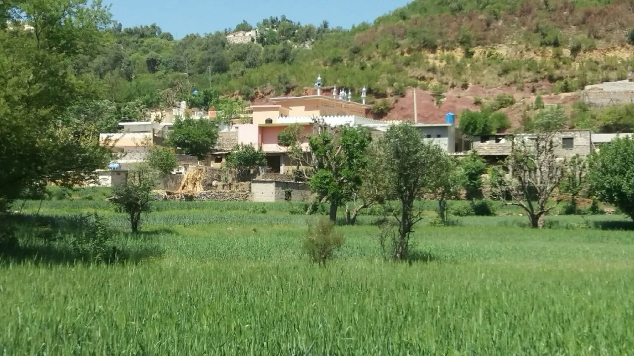 Jab valley Haripur Hazara(Navazish Ehan) 4rm NathoKhaiter