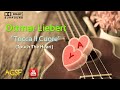 Ottmar Liebert - Tocca Il Cuore (Touch The Heart)