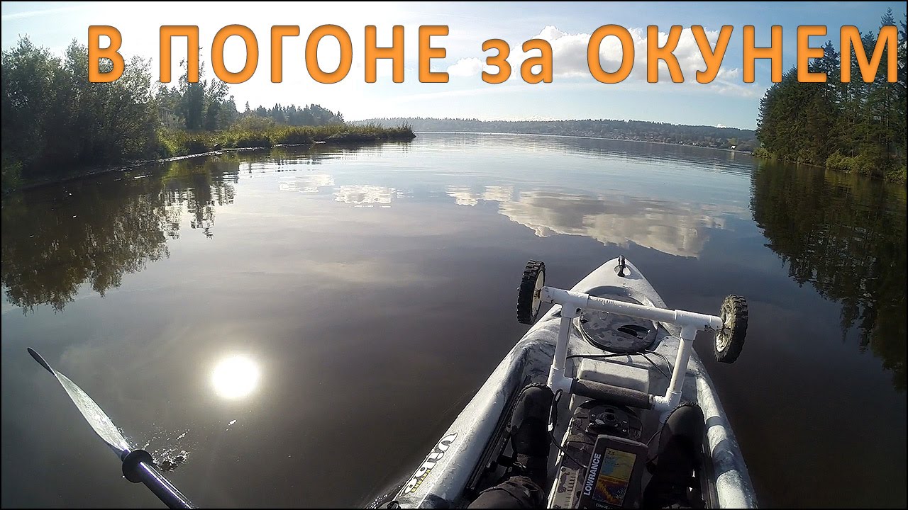 Рыбалка на Каяке на Окуней и Встреча с Орлом (Kayak Perch Fishing