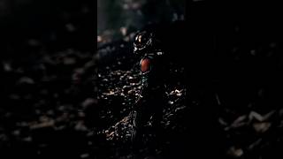 “What is The Name of Thors Hammer?” “Jonathan?” |Ant Man| #mcu #edit #antman #shorts #phonk #edits
