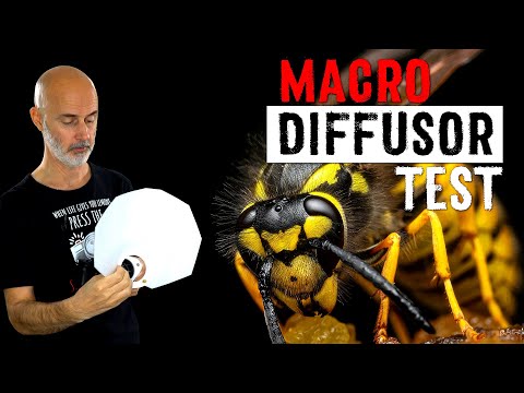 Macro Photography Lighting