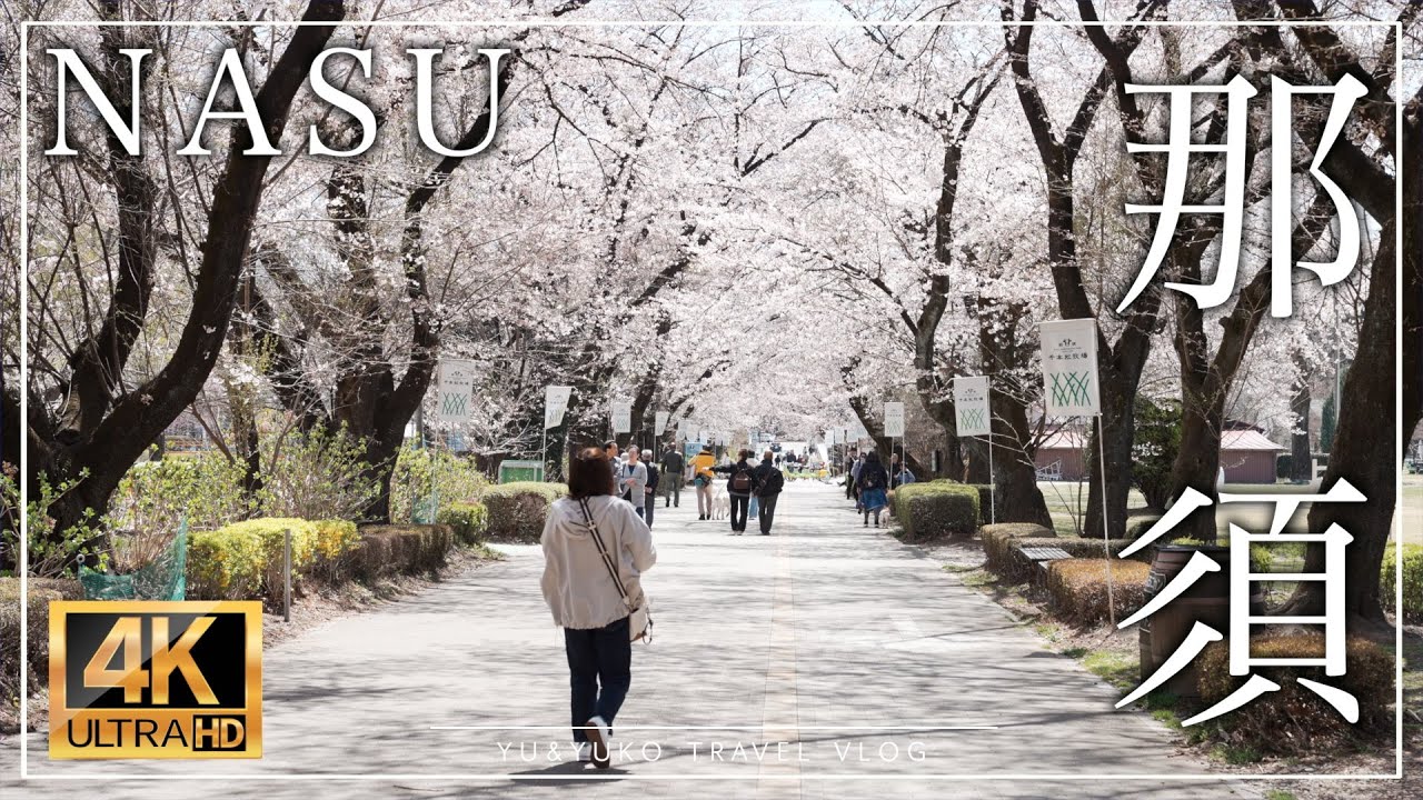 【那須旅行】春の那須🌸おすすめグルメ・観光スポットを巡る🍩🍜🐄🫏