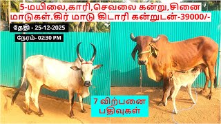 7-விற்பனை பதிவுகள்.5-மயிலை,காரி,செவலை கன்று,சினை மாடுகள்.கிர் மாடு கிடாரி கன்றுடன்-39000/-