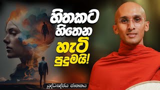 243. හිතකට හිතෙන හැටි පුදුමයි! | යුද්ධඤ්ජය ජාතකය | 2024-01-26