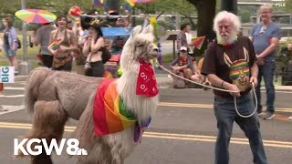 Eugene Pride cancels march and rally amid permitting dispute with police