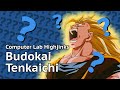 What the hell is budokai tenkaichi