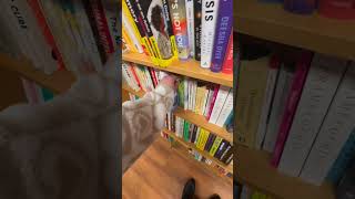 Where to start Indie Bookstore Day: Boston Edition