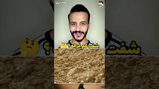 ياتري كم غزاله في الصوره 🤔 #short #shorts #shortvideo