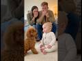 初めて犬に文句を言われた赤ちゃん、どうしていいか分からず固まってしまう。。。#dog #baby #cute #funny #shorts #shortvideo #赤ちゃん #トイプードル