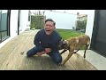 Police Dog Tracks Down Suspect Fleeing From LA Cops