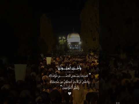 نصر وفتح وبشري أحمد خضر