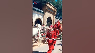 🇲🇦 المملكة المغربية الشريفة 👑