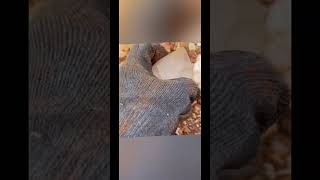 Avant Mining Private Location. Arkansas