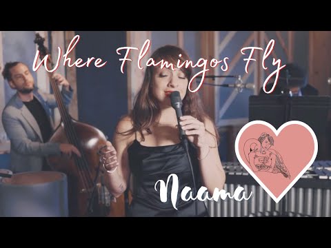 Where Flamingos Fly - Naama