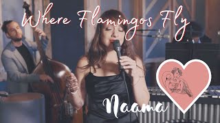 Where Flamingos Fly - Naama